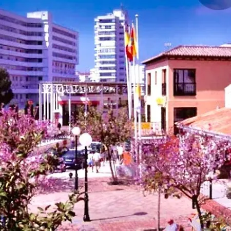 Diorama D